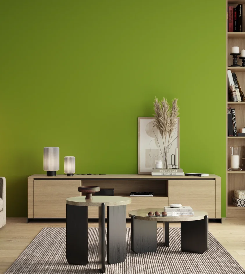 P10_SNIEZKA_salon_00_neutral_GREY_S1075-G40Y