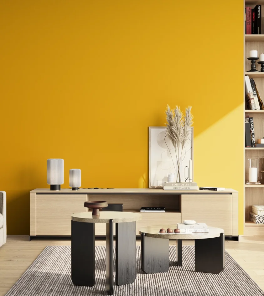 P10_SNIEZKA_salon_02_poludnie_GREY_S1080-Y10R