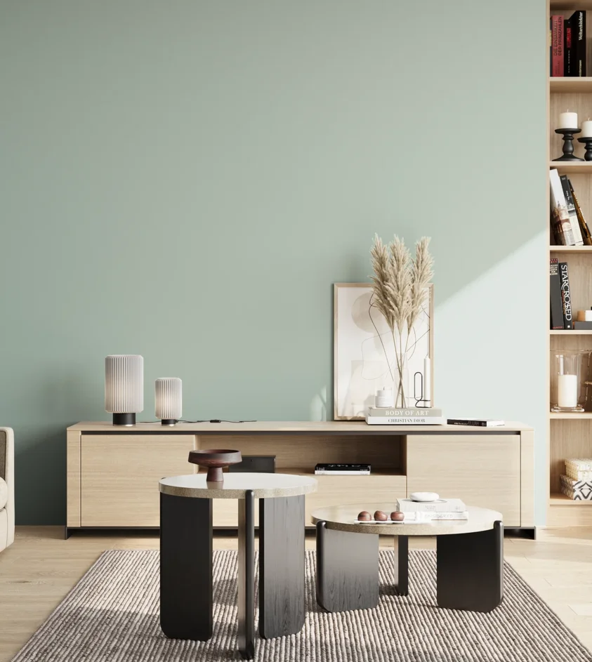 P10_SNIEZKA_salon_02_poludnie_GREY_S1510-B80G