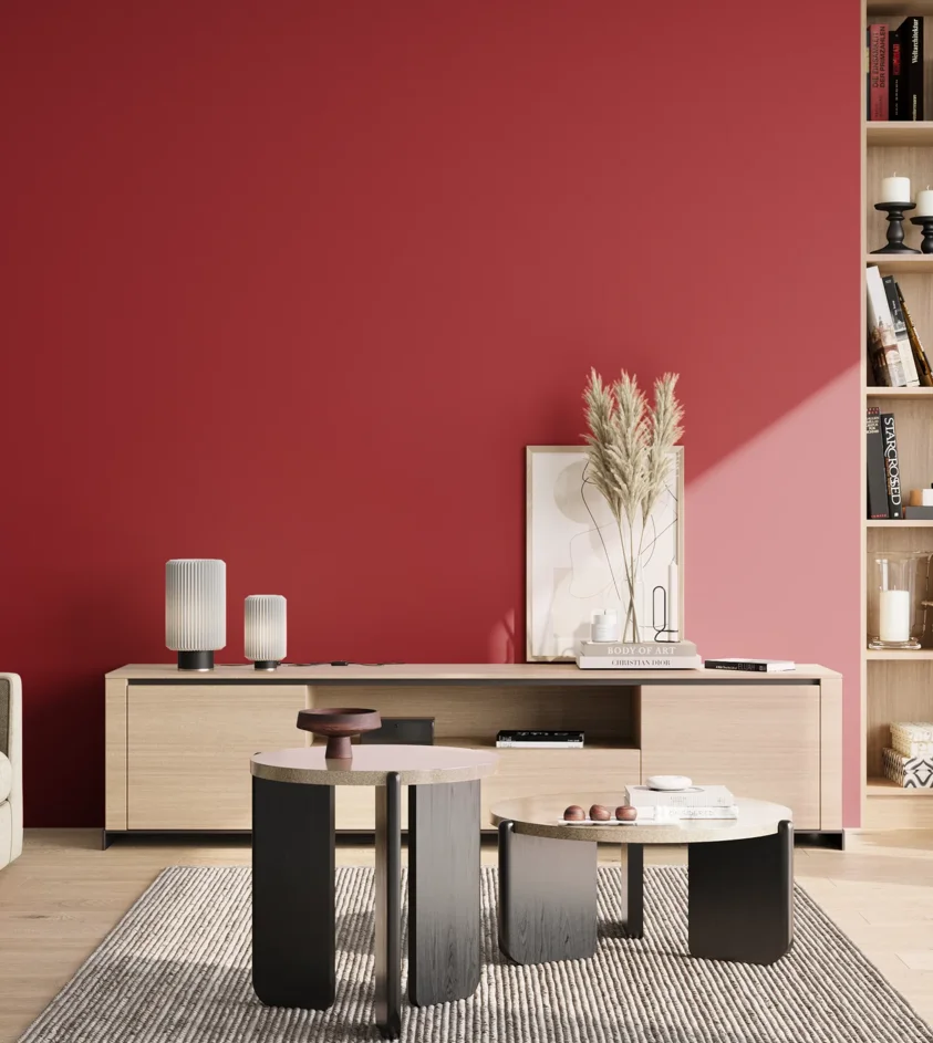 P10_SNIEZKA_salon_02_poludnie_GREY_S1580-R