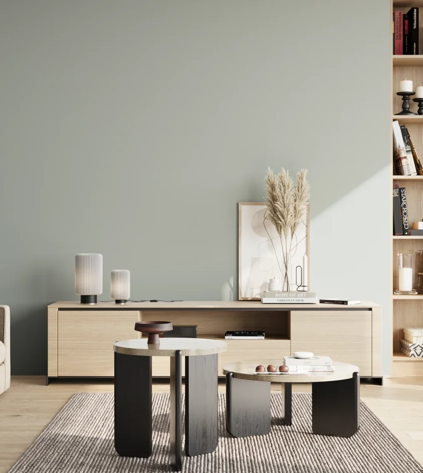 P10_SNIEZKA_salon_02_poludnie_GREY_S2005-B80G