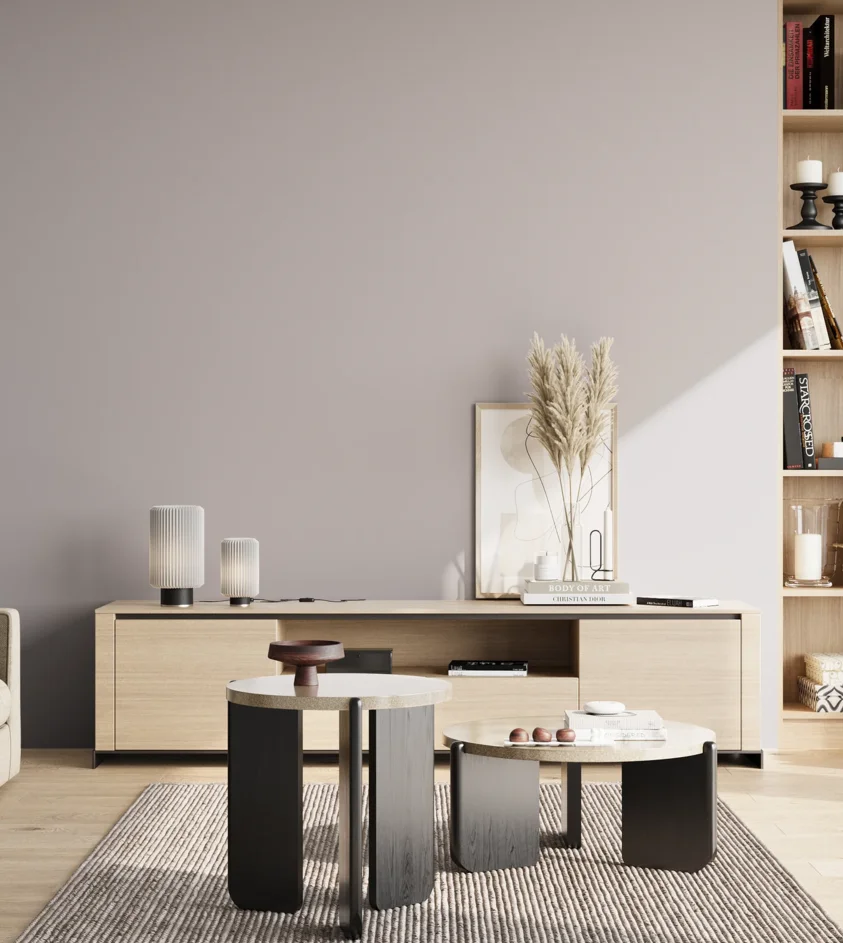 P10_SNIEZKA_salon_02_poludnie_GREY_S2005-R40B