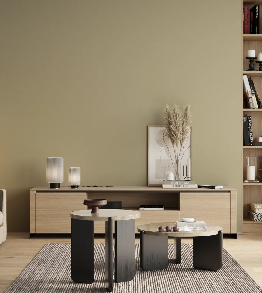 P10_SNIEZKA_salon_00_neutral_GREY_S2010-G90Y