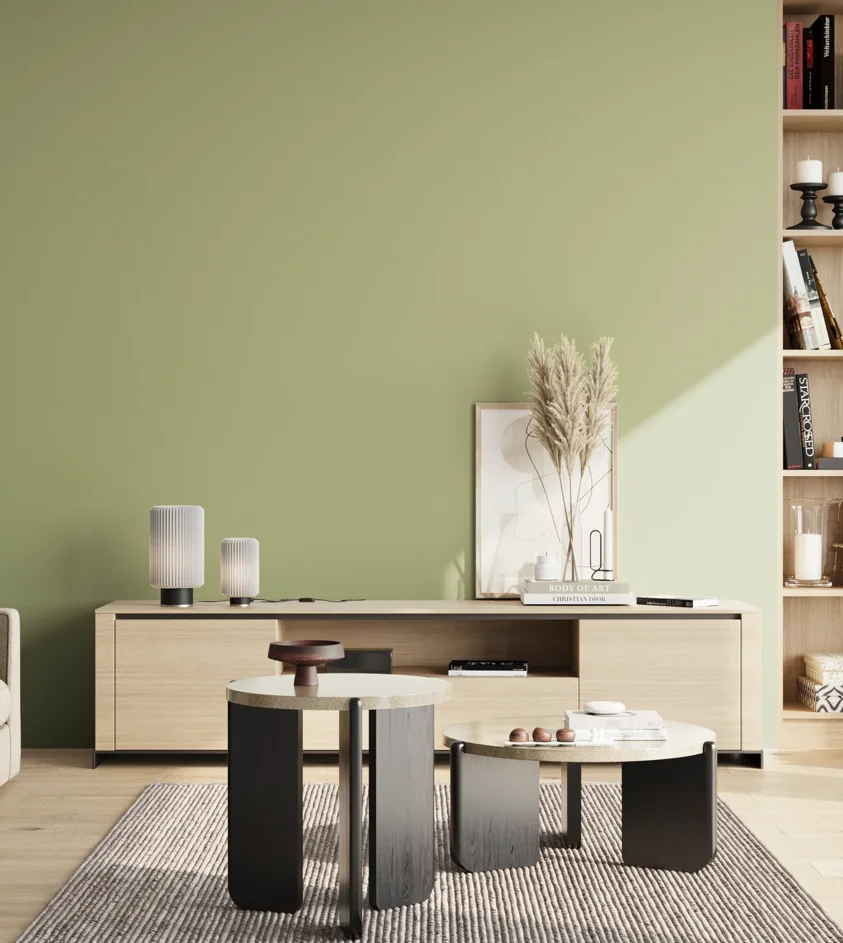 P10_SNIEZKA_salon_02_poludnie_GREY_S2020-G50Y