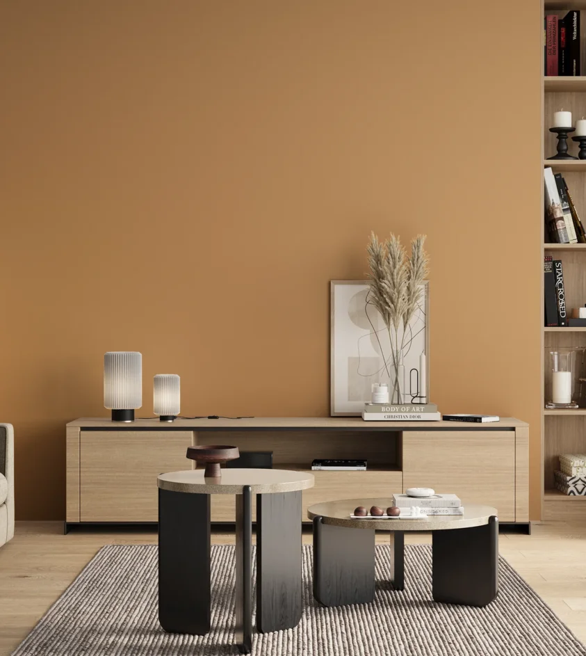 P10_SNIEZKA_salon_00_neutral_GREY_S2030-Y30R