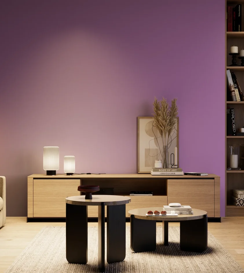 P10_SNIEZKA_salon_04_cieple_GREY_S2050-R50B