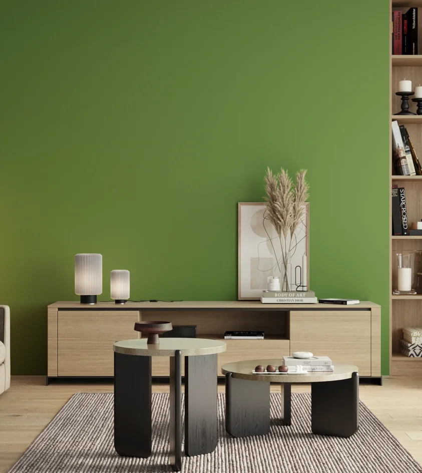 P10_SNIEZKA_salon_00_neutral_GREY_S2060-G30Y
