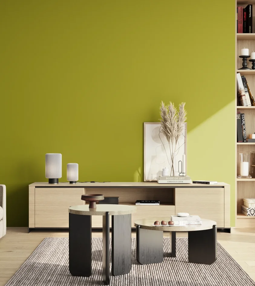 P10_SNIEZKA_salon_02_poludnie_GREY_S2070-G70Y