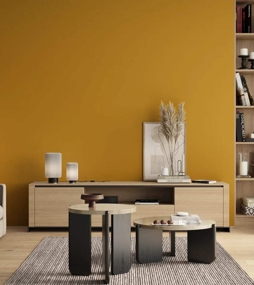 P10_SNIEZKA_salon_00_neutral_GREY_S2070-Y10R
