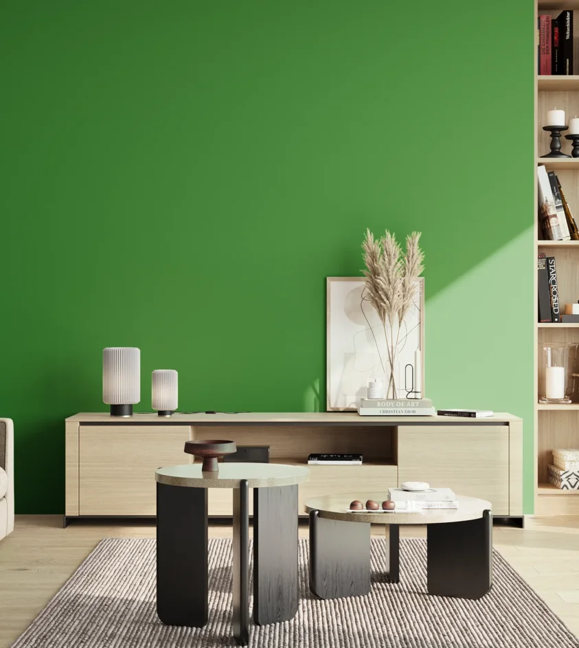 P10_SNIEZKA_salon_02_poludnie_GREY_S2075-G20Y