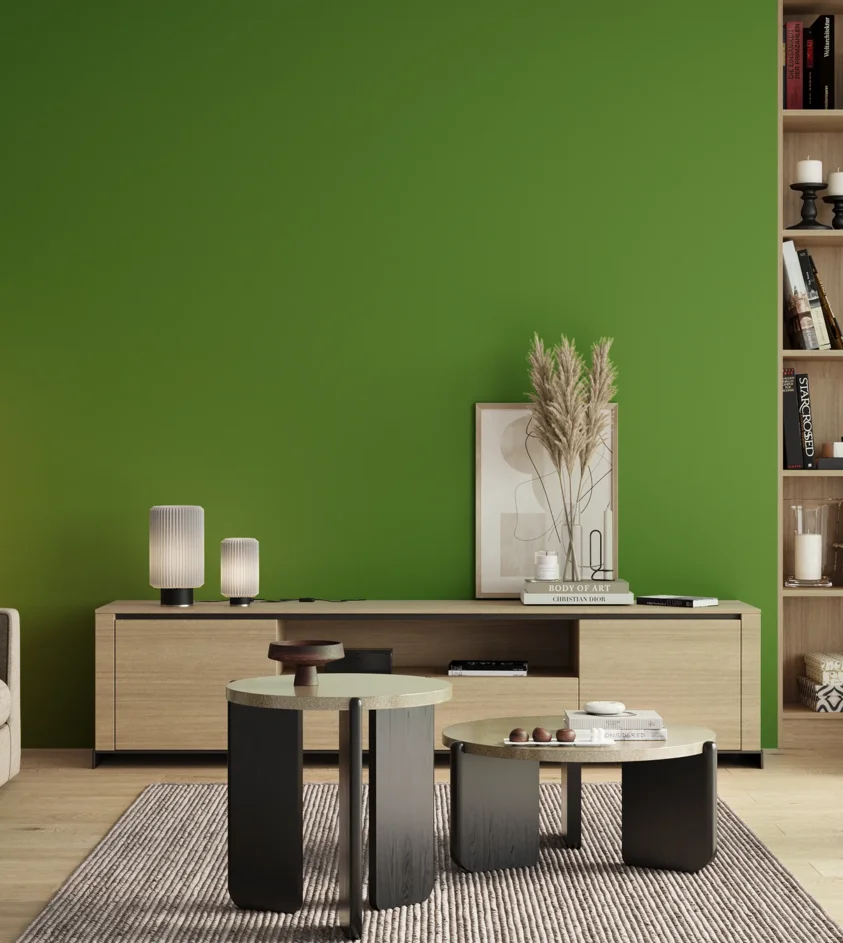 P10_SNIEZKA_salon_00_neutral_GREY_S2075-G30Y