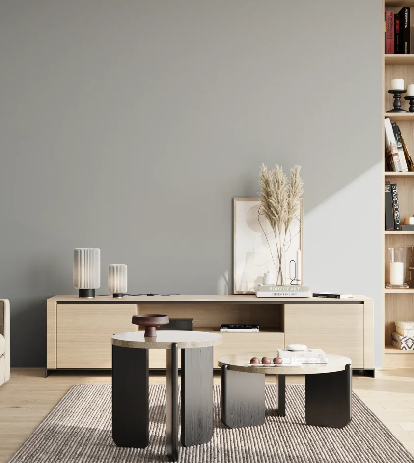 P10_SNIEZKA_salon_02_poludnie_GREY_S2502-B