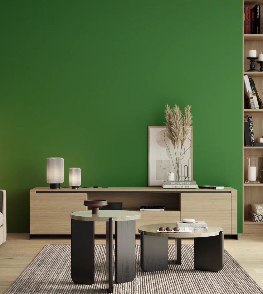 P10_SNIEZKA_salon_00_neutral_GREY_S2570-G20Y