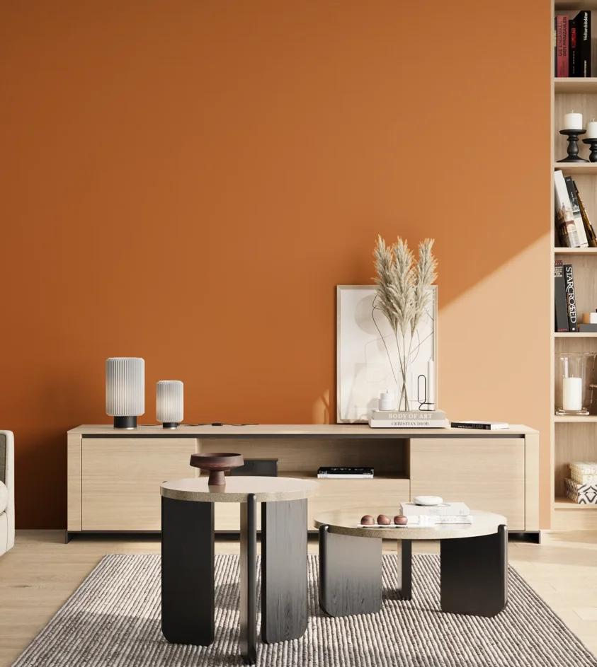 P10_SNIEZKA_salon_02_poludnie_GREY_S2570-Y40R