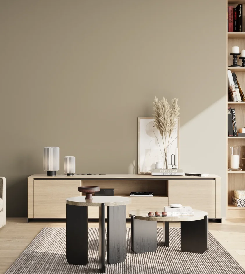 P10_SNIEZKA_salon_02_poludnie_GREY_S3005-Y20R