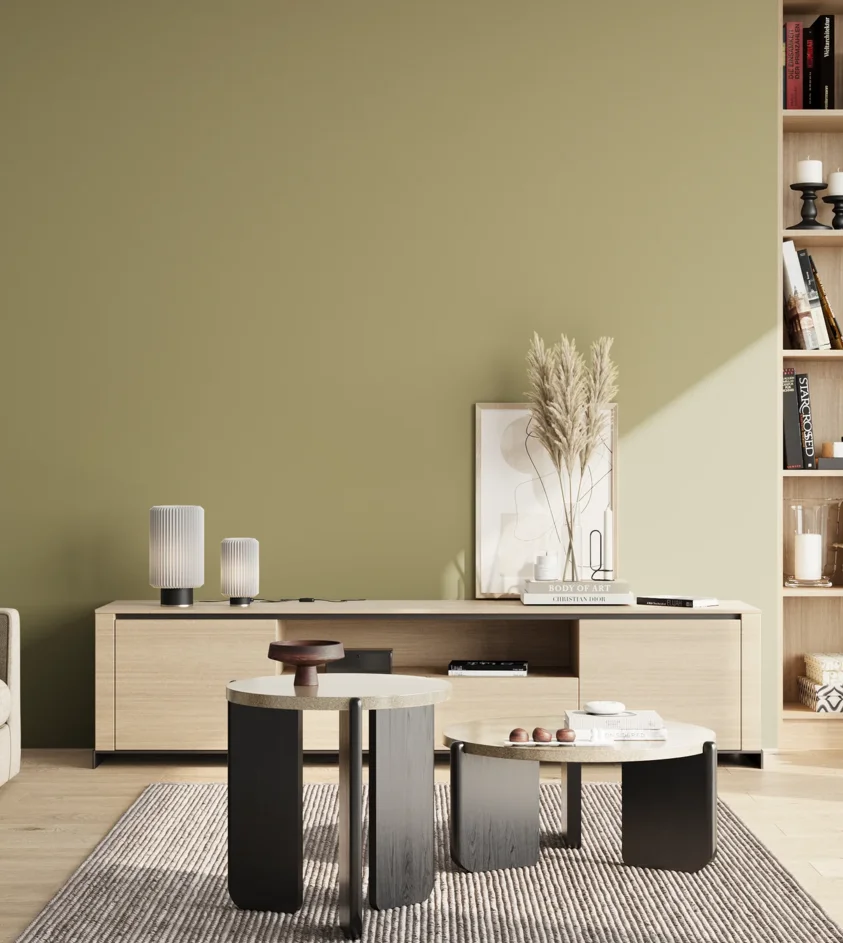P10_SNIEZKA_salon_02_poludnie_GREY_S3020-G80Y
