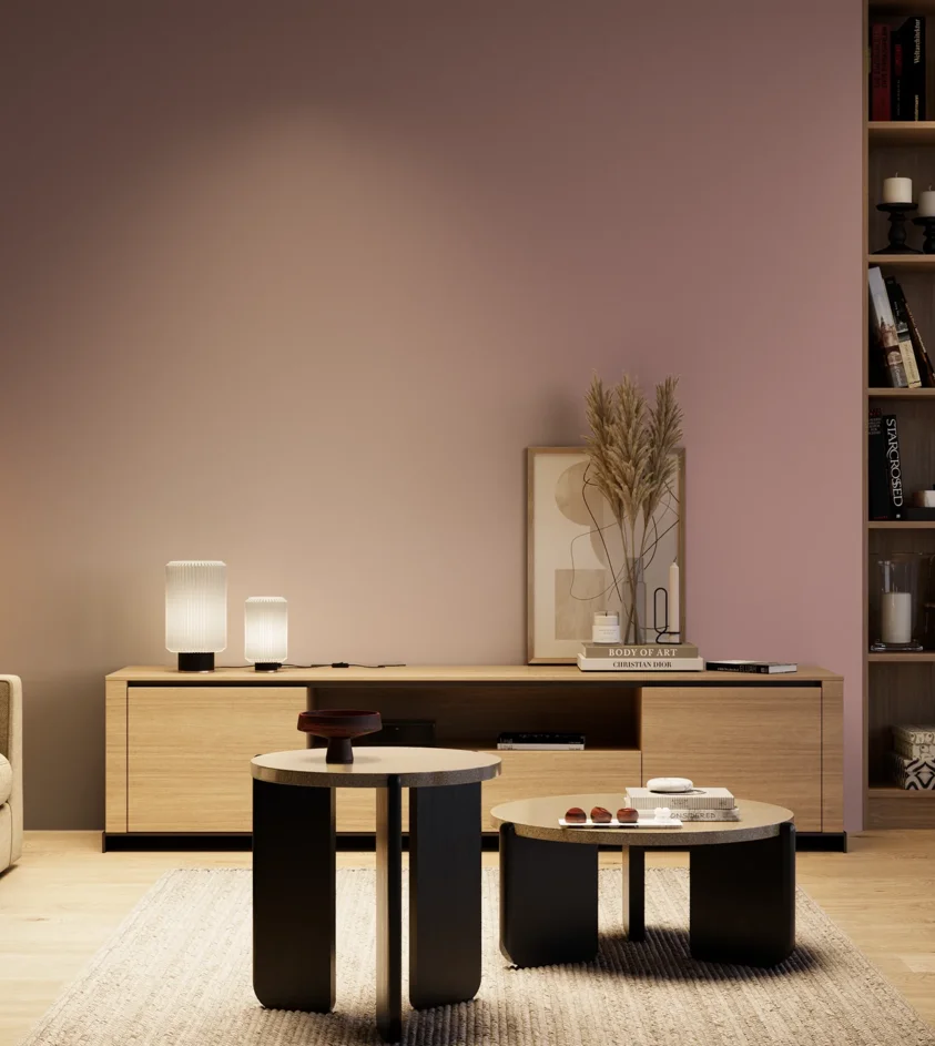P10_SNIEZKA_salon_04_cieple_GREY_S3020-R10B
