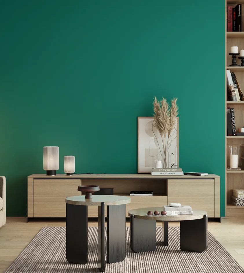 P10_SNIEZKA_salon_00_neutral_GREY_S3050-B70G