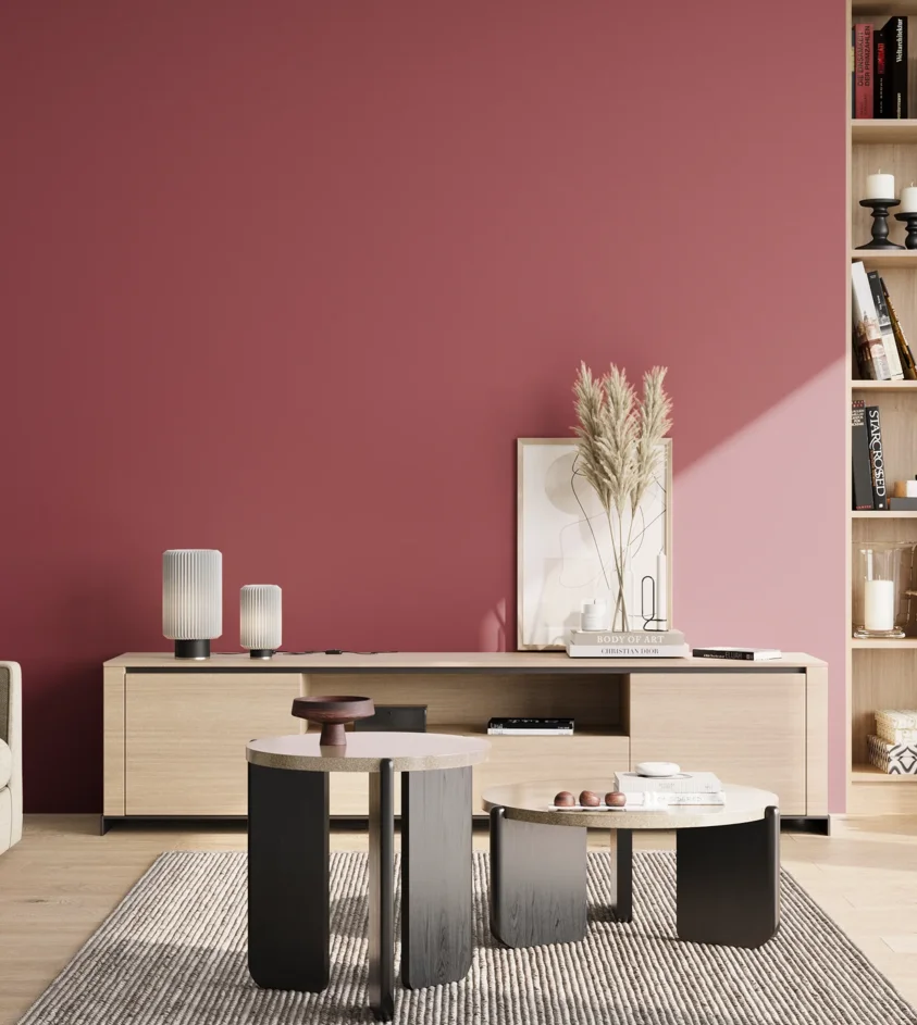 P10_SNIEZKA_salon_02_poludnie_GREY_S3050-R10B
