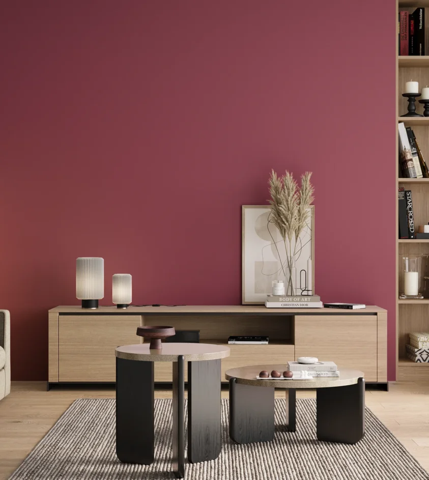 P10_SNIEZKA_salon_00_neutral_GREY_S3050-R20B