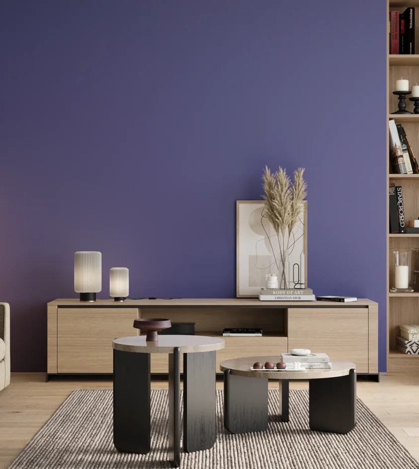 P10_SNIEZKA_salon_00_neutral_GREY_S3050-R70B