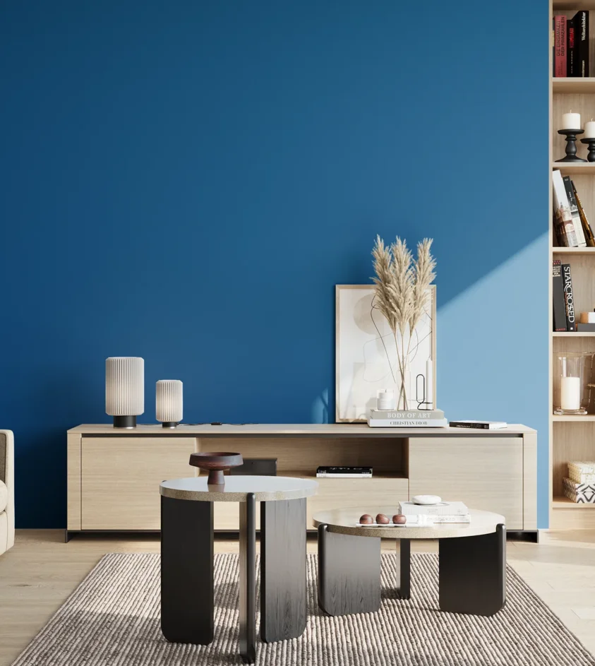 P10_SNIEZKA_salon_02_poludnie_GREY_S3065-R90B