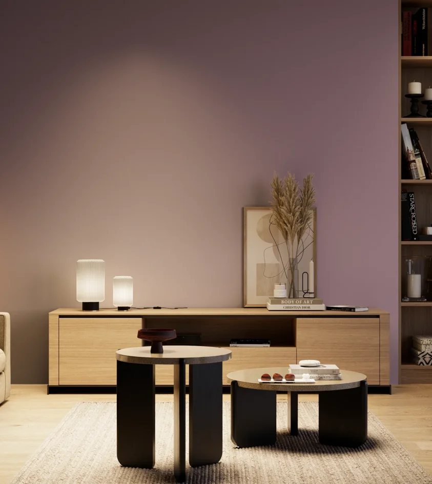 P10_SNIEZKA_salon_04_cieple_GREY_S4020-R40B