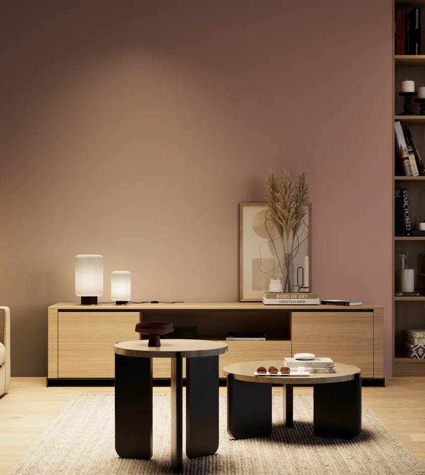 P10_SNIEZKA_salon_04_cieple_GREY_S4020-Y90R
