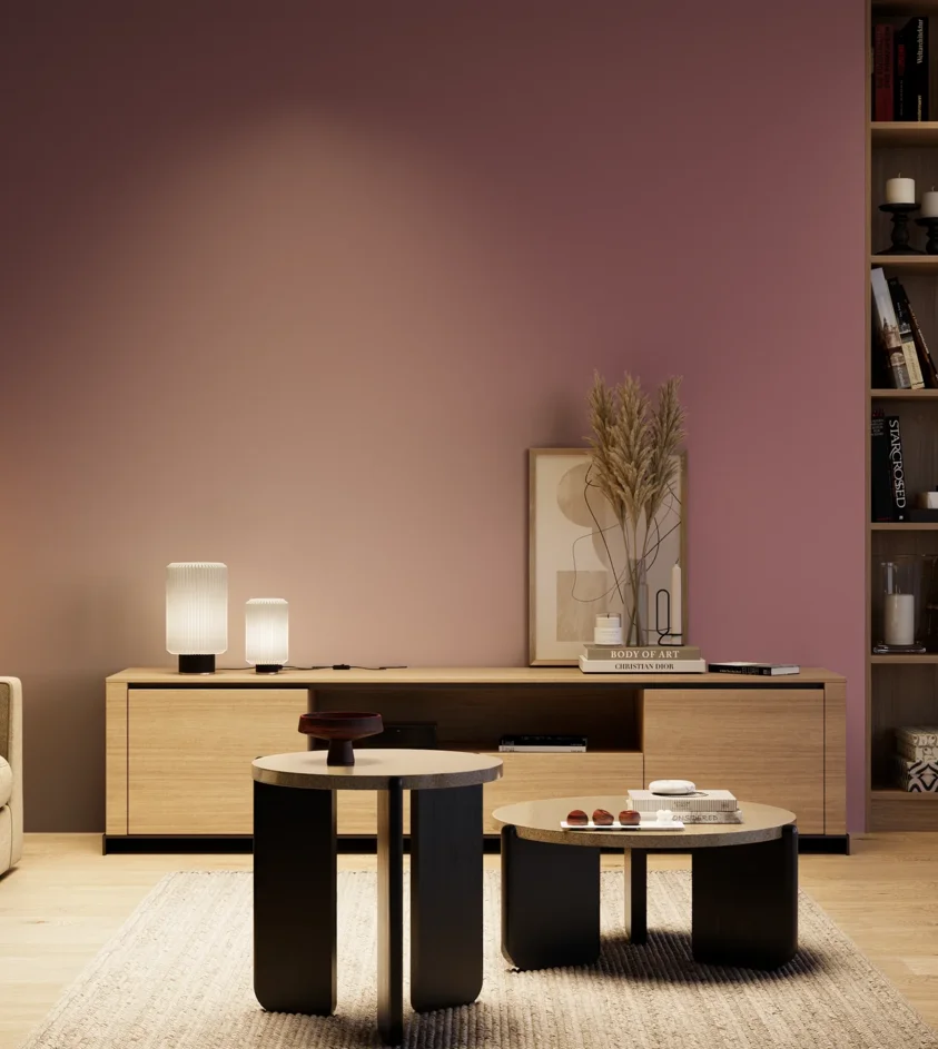 P10_SNIEZKA_salon_04_cieple_GREY_S4030-R20B