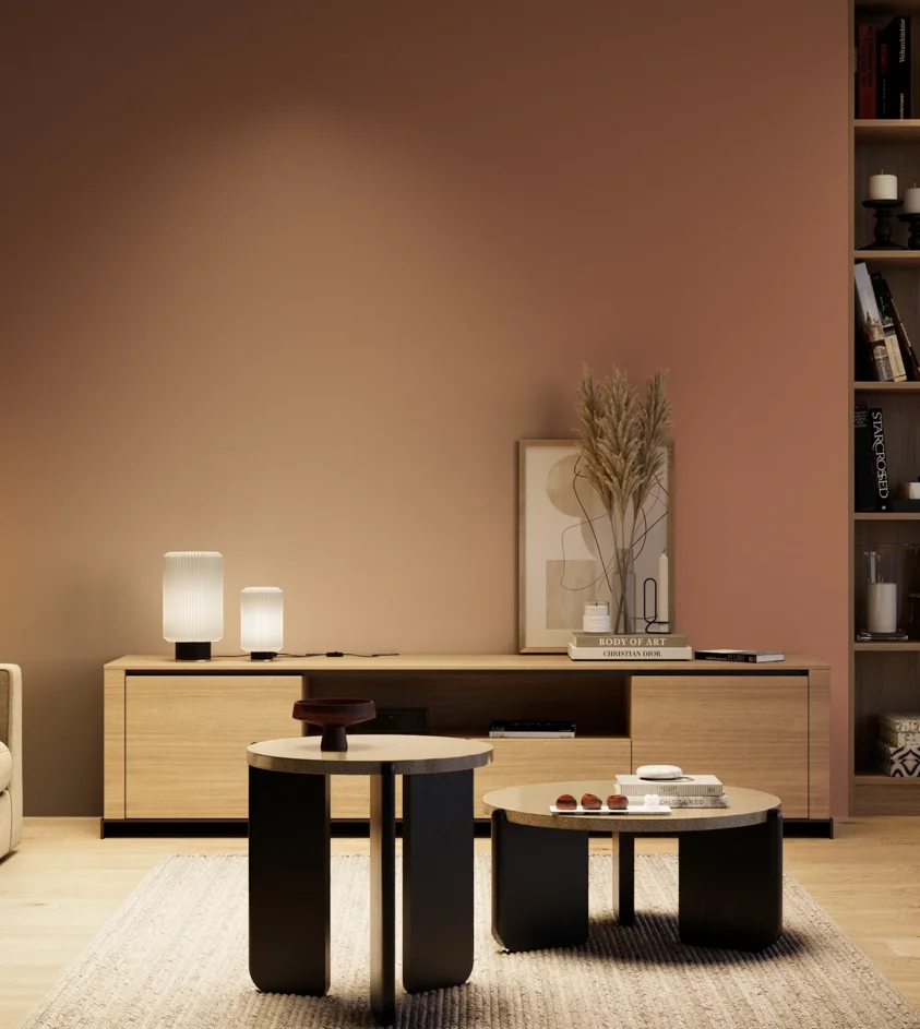 P10_SNIEZKA_salon_04_cieple_GREY_S4030-Y70R