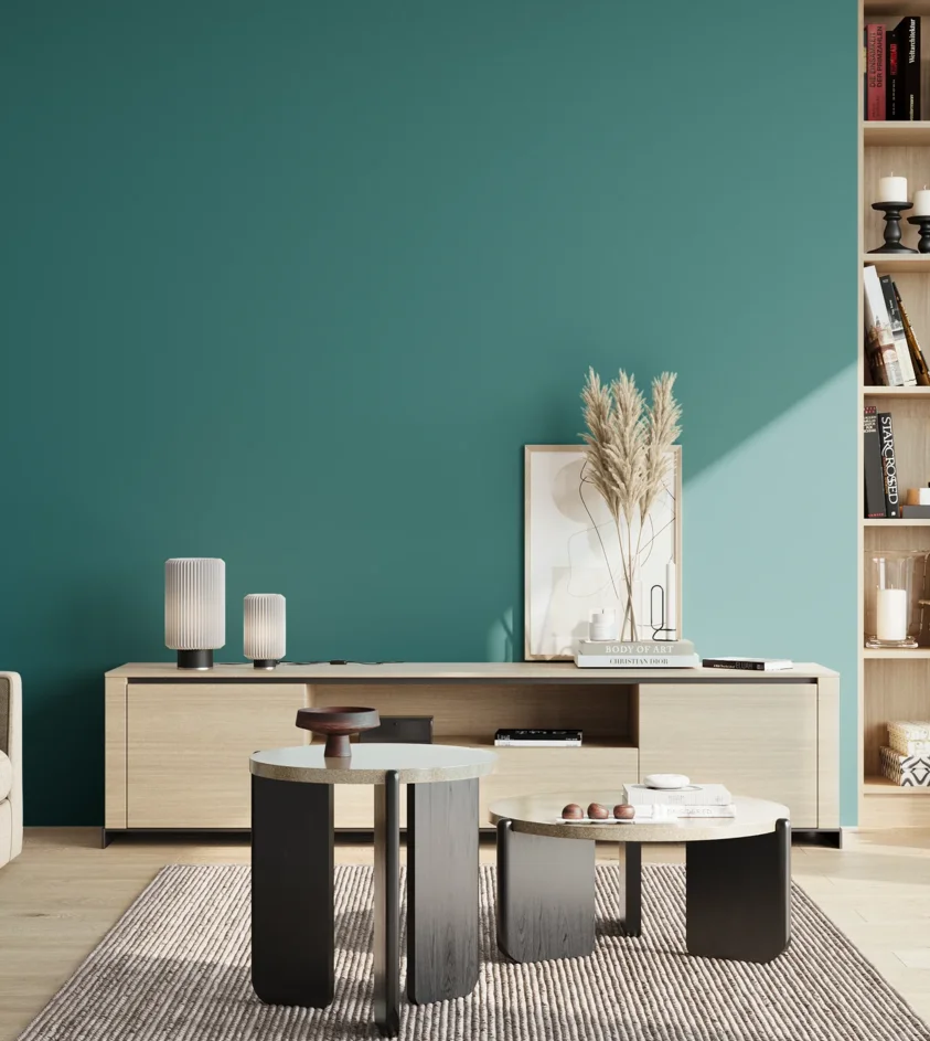 P10_SNIEZKA_salon_02_poludnie_GREY_S4040-B40G