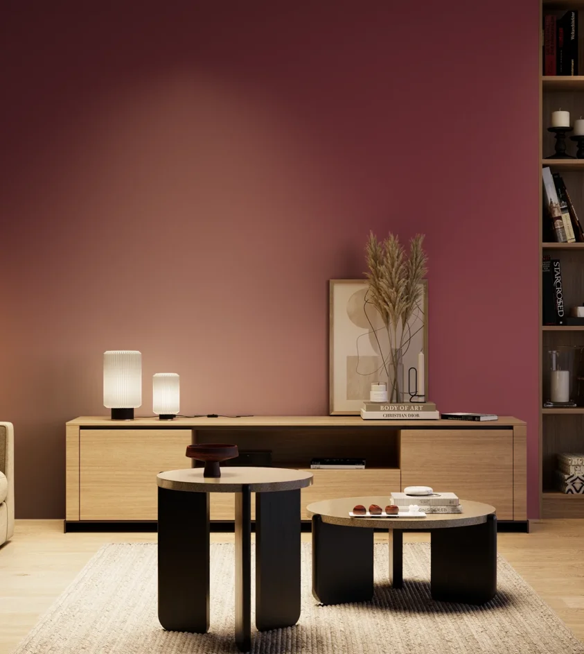 P10_SNIEZKA_salon_04_cieple_GREY_S4050-R20B