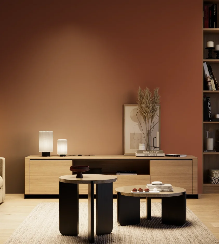 P10_SNIEZKA_salon_04_cieple_GREY_S4550-Y70R