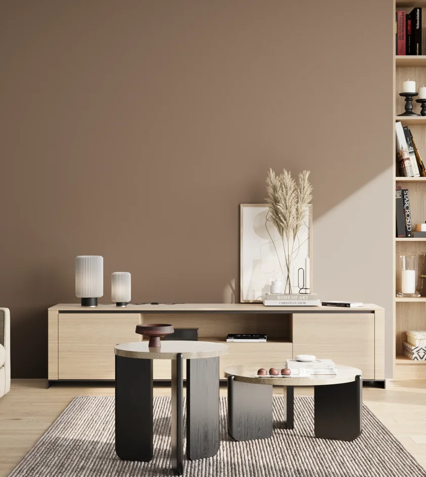 P10_SNIEZKA_salon_02_poludnie_GREY_S5010-Y50R
