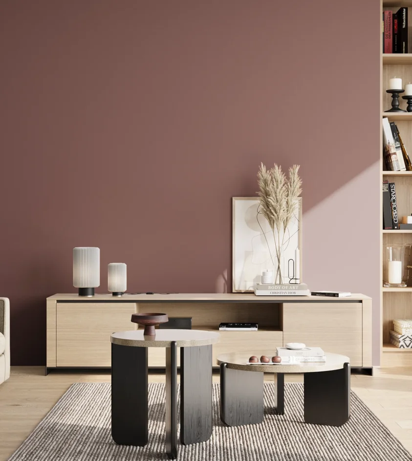 P10_SNIEZKA_salon_02_poludnie_GREY_S5020-R
