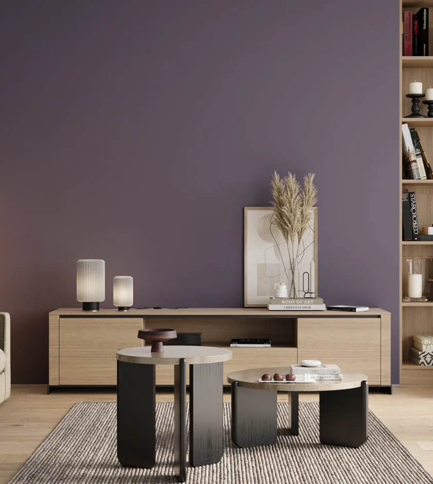 P10_SNIEZKA_salon_00_neutral_GREY_S5020-R60B