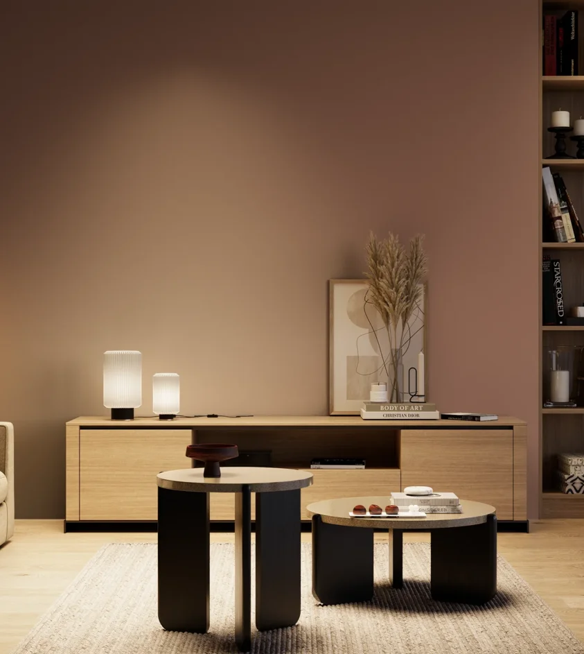 P10_SNIEZKA_salon_04_cieple_GREY_S5020-Y80R