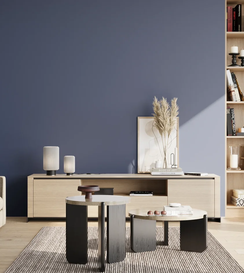 P10_SNIEZKA_salon_02_poludnie_GREY_S5030-R80B