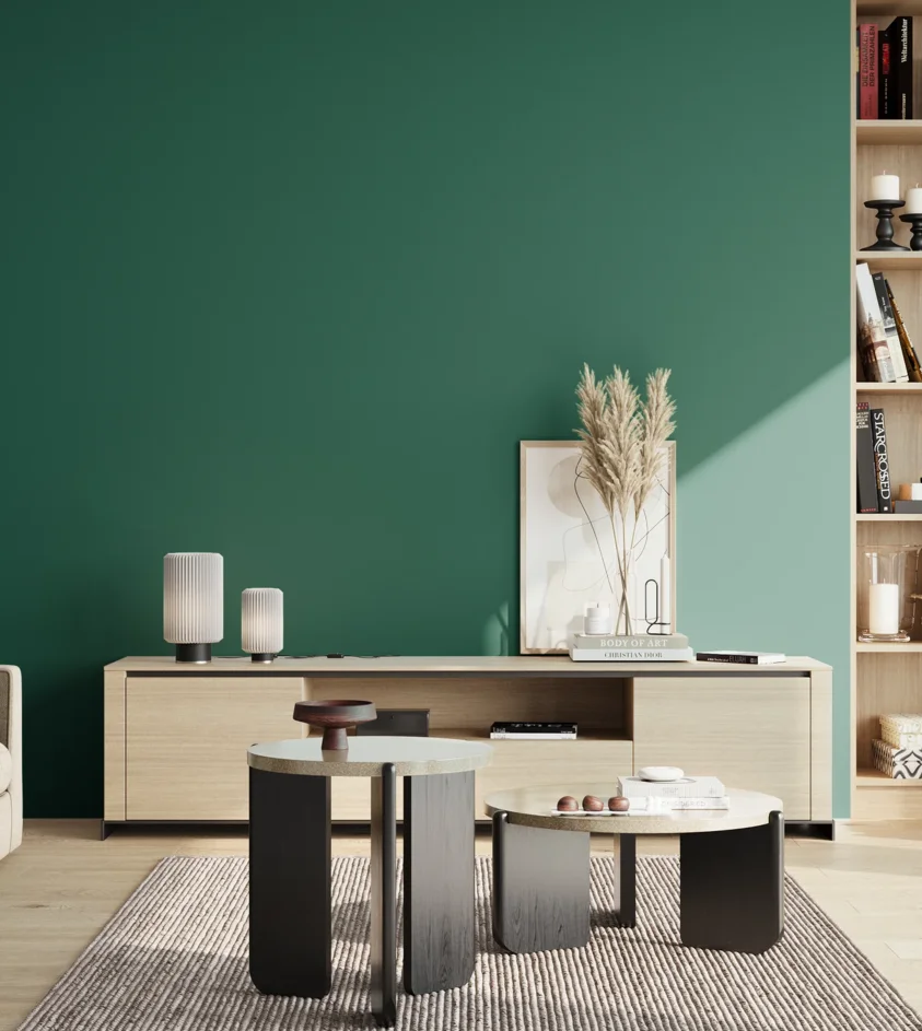 P10_SNIEZKA_salon_02_poludnie_GREY_S5040-B80G