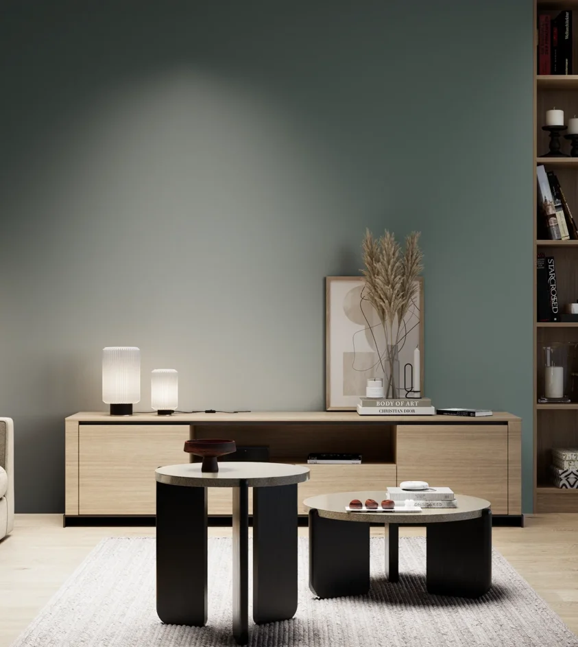 P10_SNIEZKA_salon_05_zimne_GREY_S6010-B70G