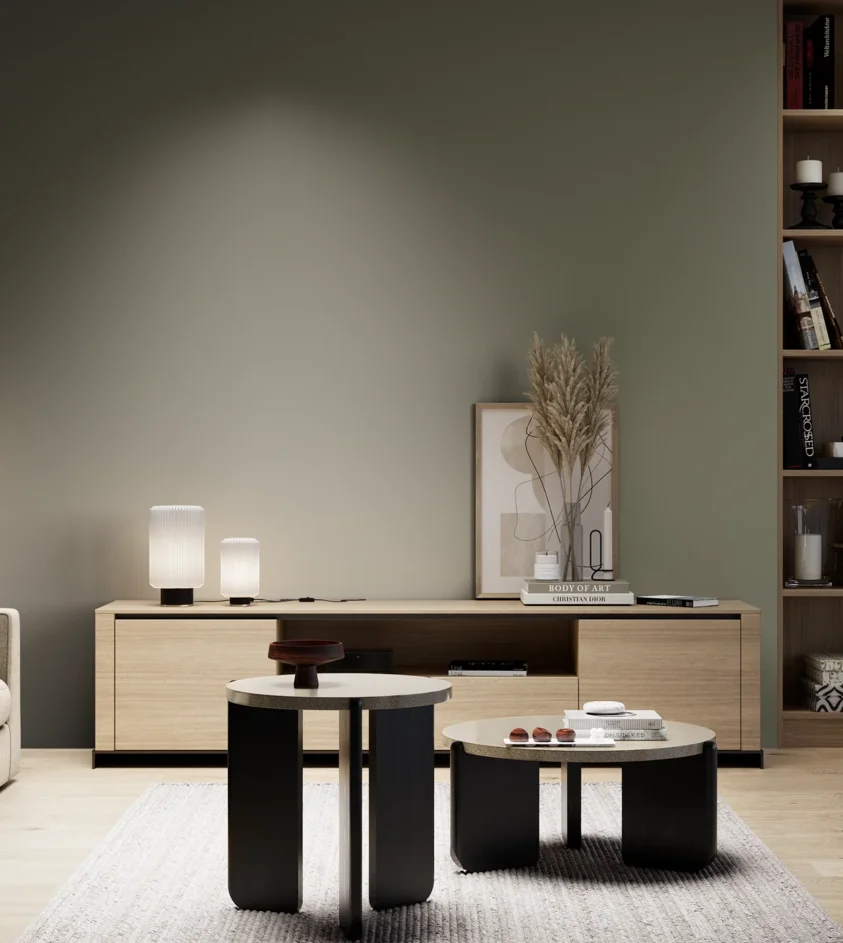 P10_SNIEZKA_salon_05_zimne_GREY_S6010-G70Y