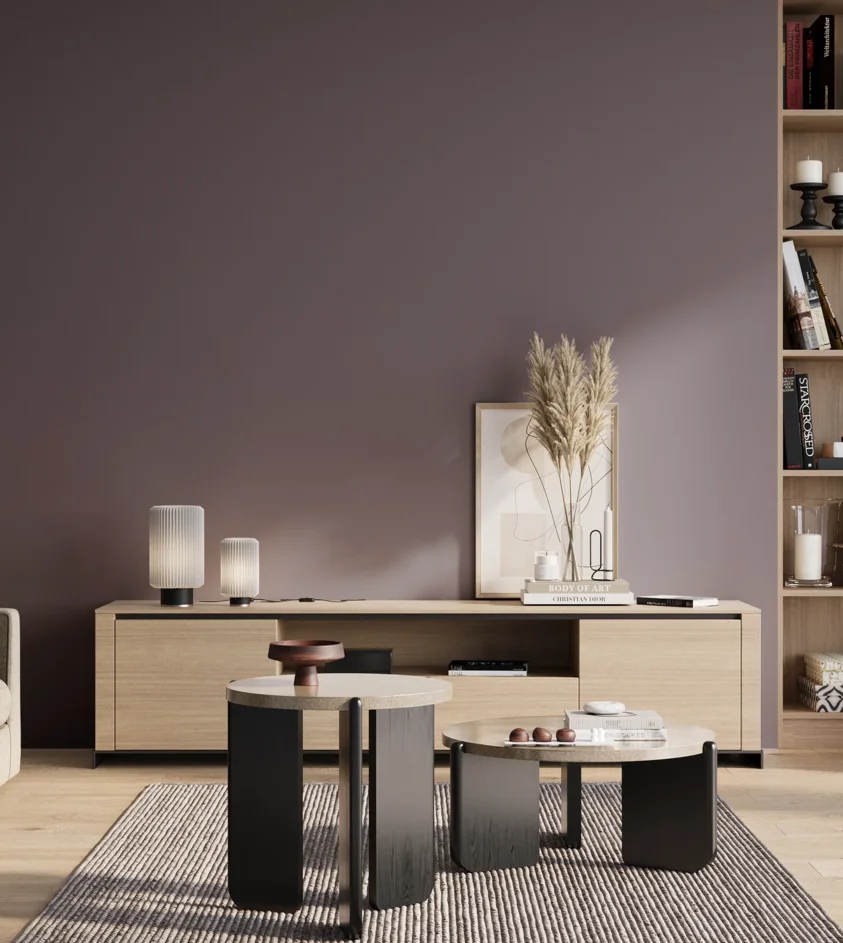 P10_SNIEZKA_salon_01_poranek_GREY_S6010-R50B