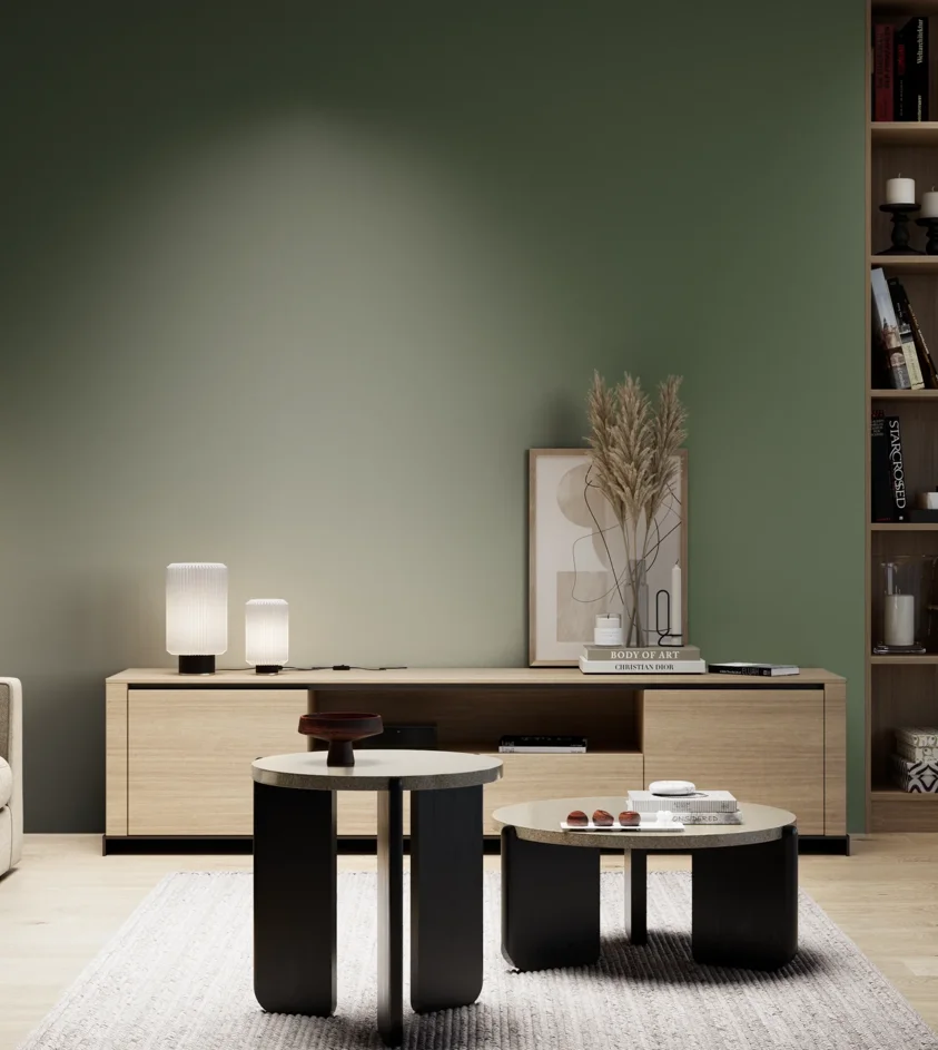 P10_SNIEZKA_salon_05_zimne_GREY_S6020-G30Y