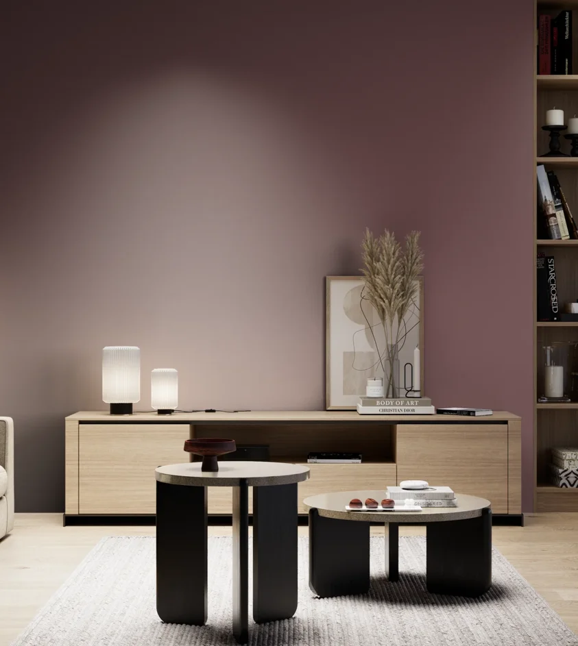 P10_SNIEZKA_salon_05_zimne_GREY_S6020-R10B