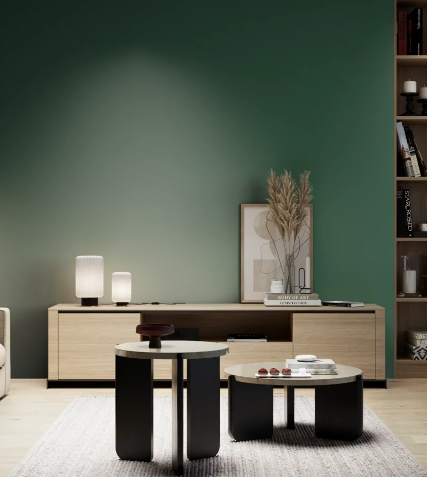 P10_SNIEZKA_salon_05_zimne_GREY_S6030-G