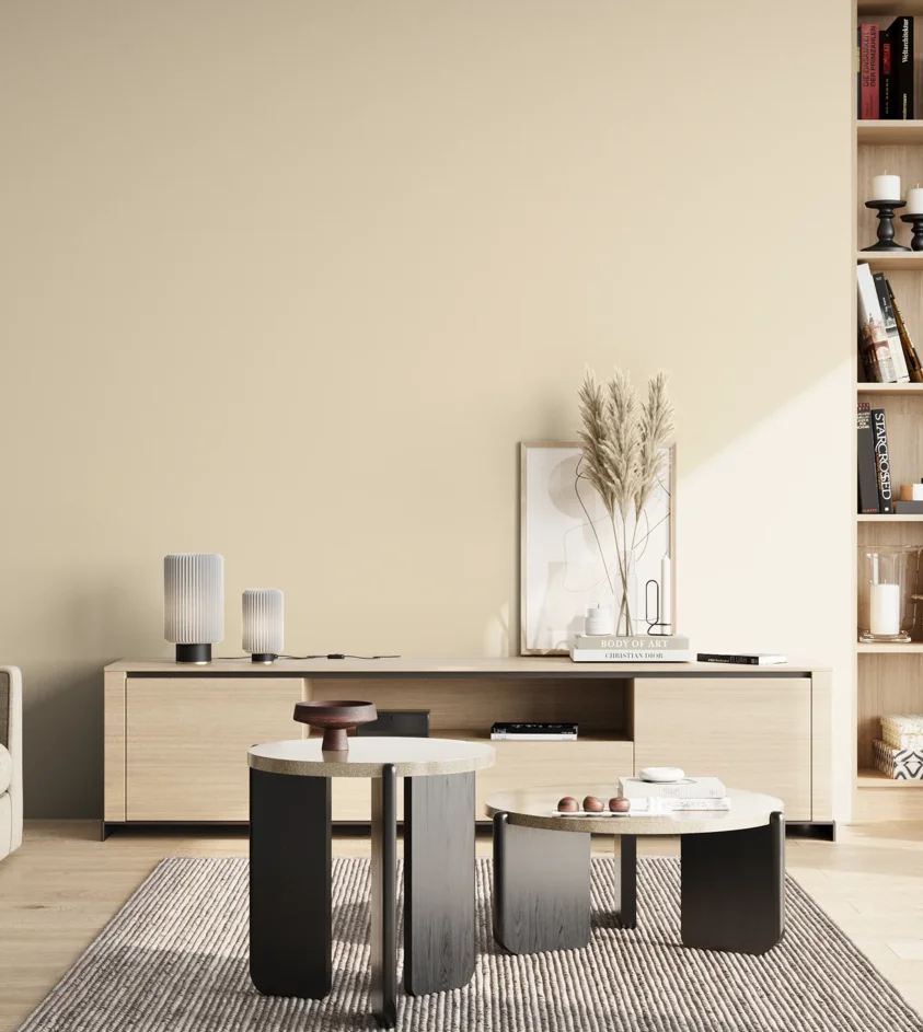 P10_SNIEZKA_salon_02_poludnie_GREY_S0505-Y30R