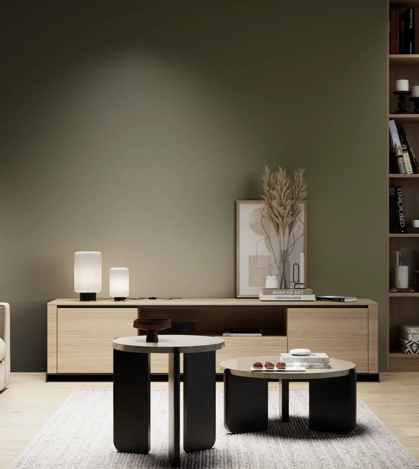 P10_SNIEZKA_salon_05_zimne_GREY_S7020-G70Y