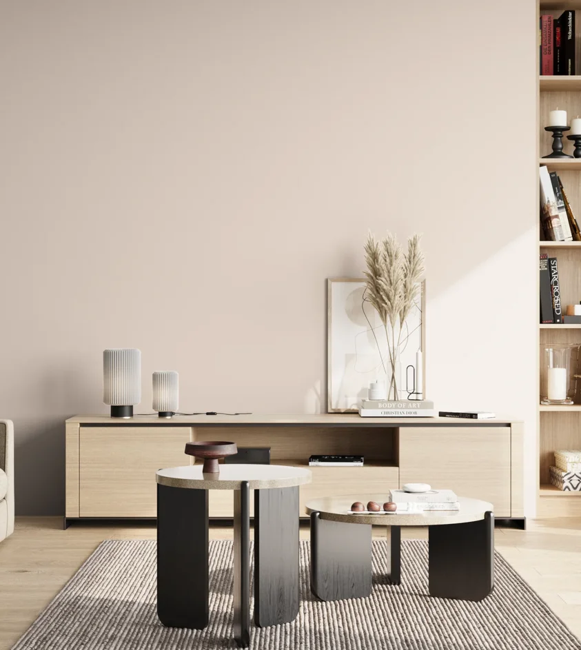 P10_SNIEZKA_salon_02_poludnie_GREY_S0505-Y80R