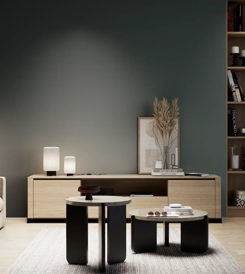 P10_SNIEZKA_salon_05_zimne_GREY_S8010-B50G