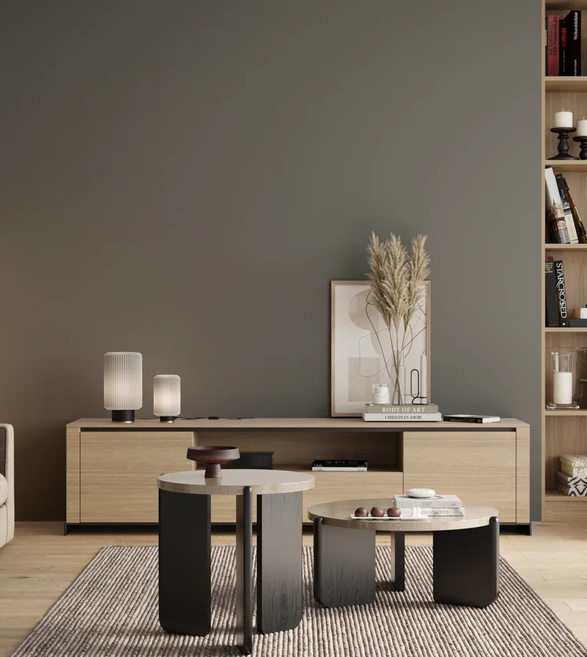 P10_SNIEZKA_salon_00_neutral_GREY_S5502-B50G